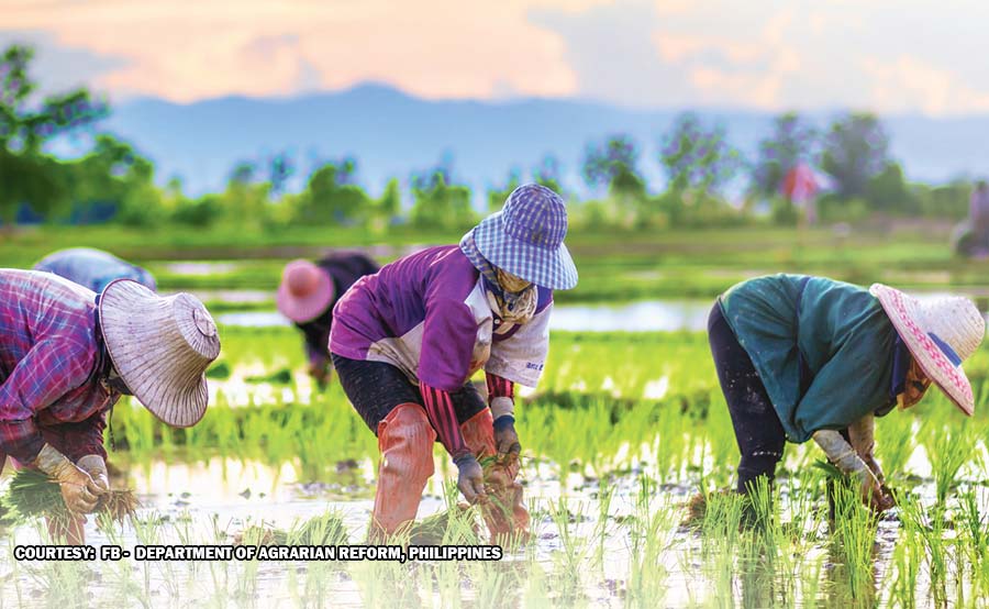 ‘Seedling nurseries’ palalakasin para mapaigting pagtatanim ng gulay, palay